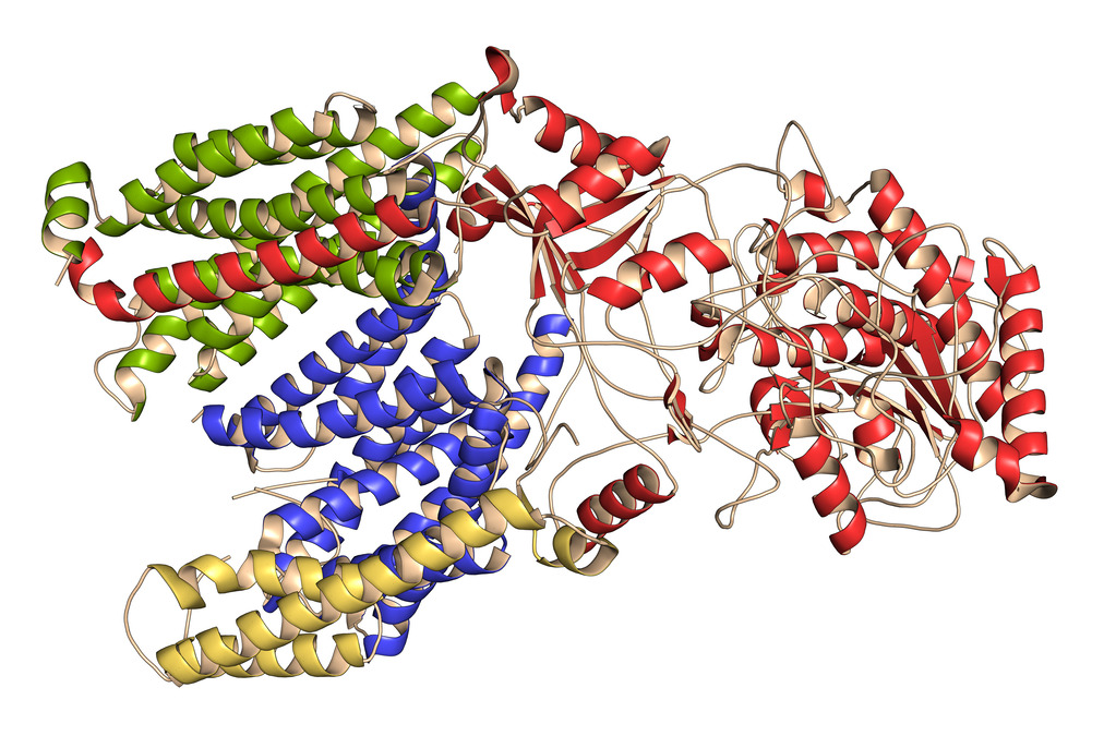 Enhancing Cryo-EM with Graphene Cryo-EM Analysis