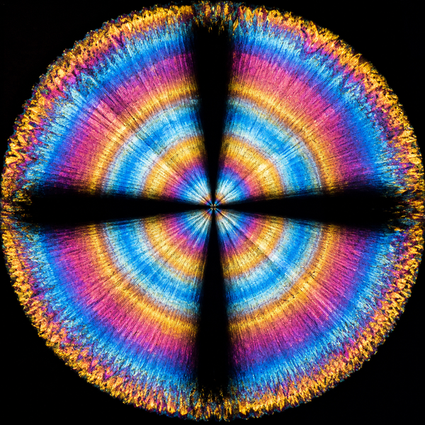 Hot-Stage Microscopy: Watching Melting, Crystallization & Phase Change
