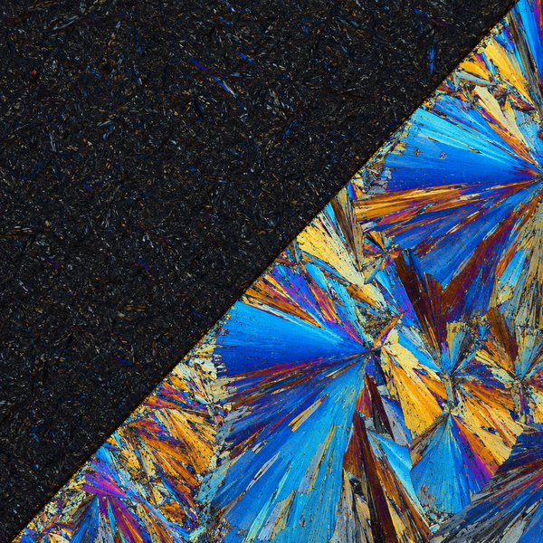 Phase Transitions In-Situ: Capturing the Moment of Change