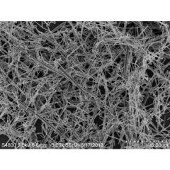 Copper Nanowire (50-200nm), 1g