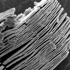Ti3C2Tx MXene (multilayer nanoflakes)