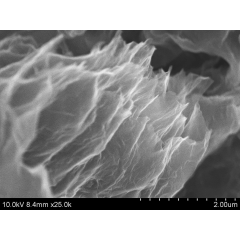 Graphene Aerogel
