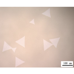 CVD Method Monolayer WSe2