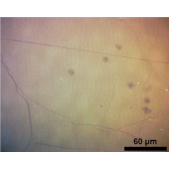 CVD Graphene on Copper Foil (Graphene Factory)