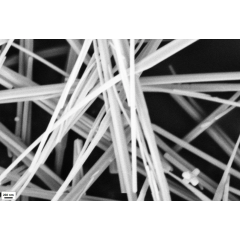 Zinc Oxide Nanowire