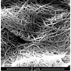 Highly Purified Single-Walled Carbon Nanotubes (Length:5-30μm, OD