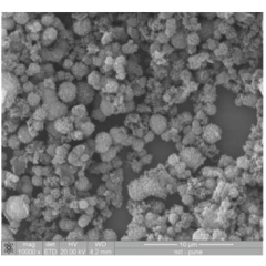 Covalent Organic Framework-TpPa-1 (COF-TpPa-1)