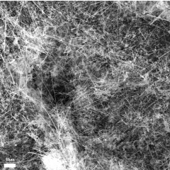 SiC Nanowire