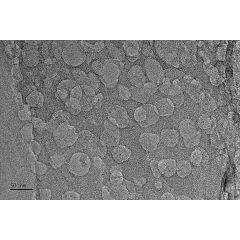 2D Porous Graphene