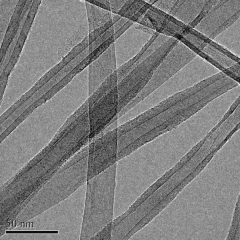 Carbon Nanotube Sponges