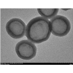 Hollow Carbon Spheres with Soft Template