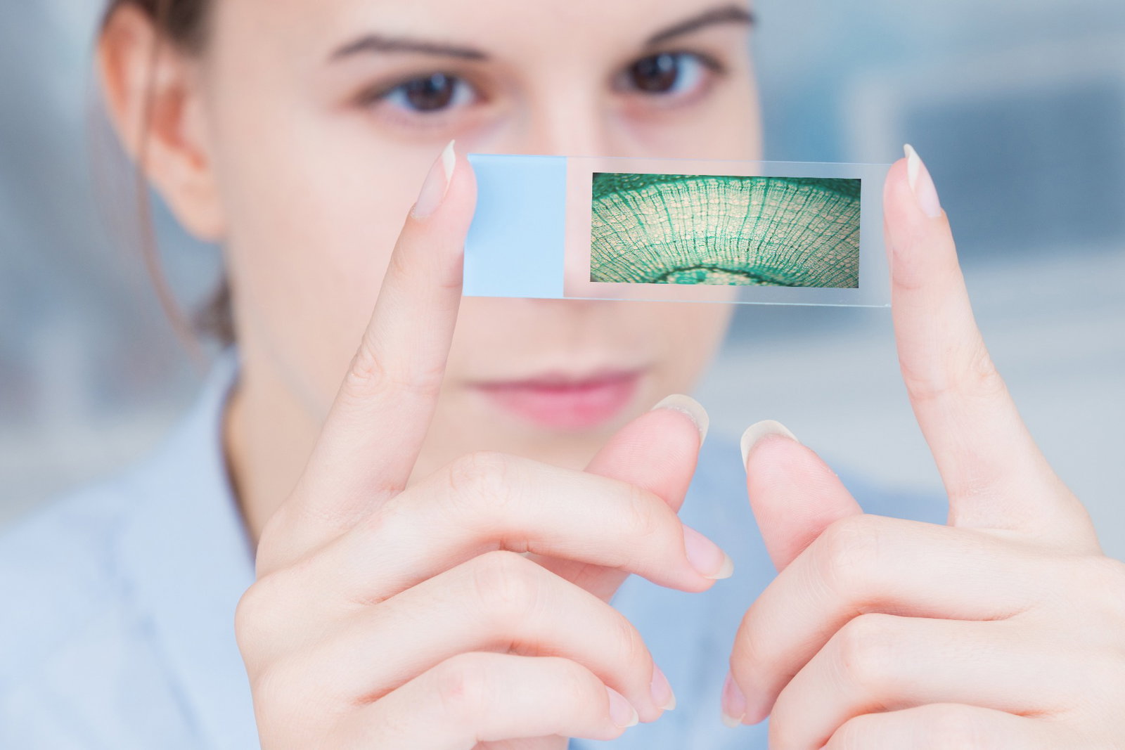 Understanding the Use of Graphene Understanding the Application and Uses of Graphene Image 2