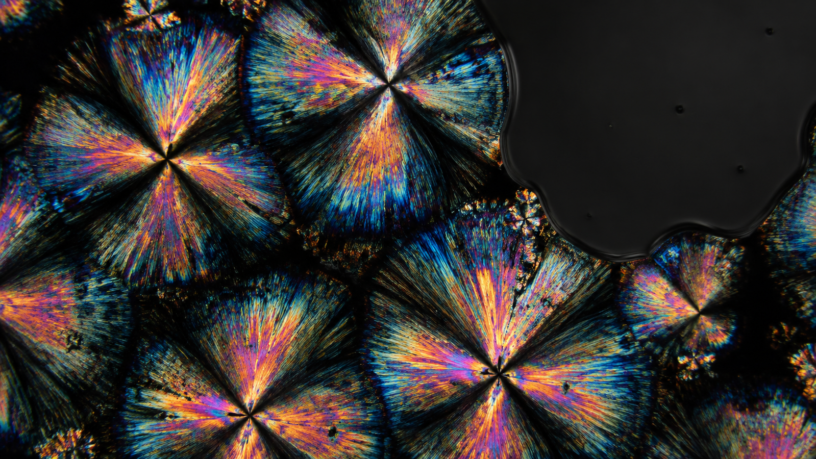 Hot-stage microscopy concept: a birefringent crystalline sample viewed through crossed polarizers on a heating-and-cooling stage under a microscope objective, melting into a dark isotropic liquid as temperature rises
